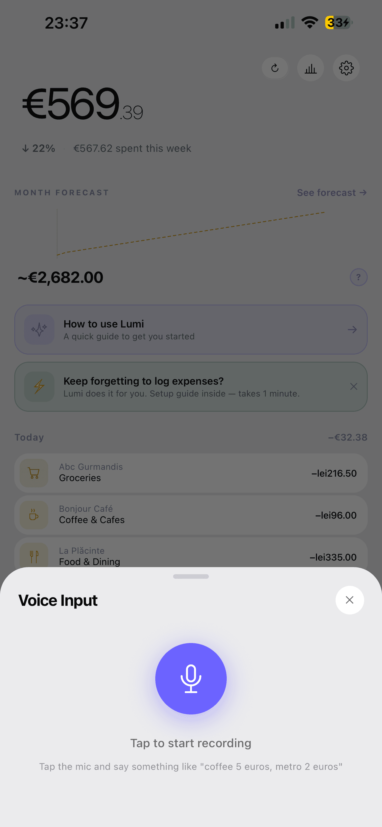 Lumi voice input screen with a microphone button and prompt to say an expense out loud